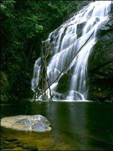 Salto de agua en Tijuca (Ro de Janeiro, Brasil)